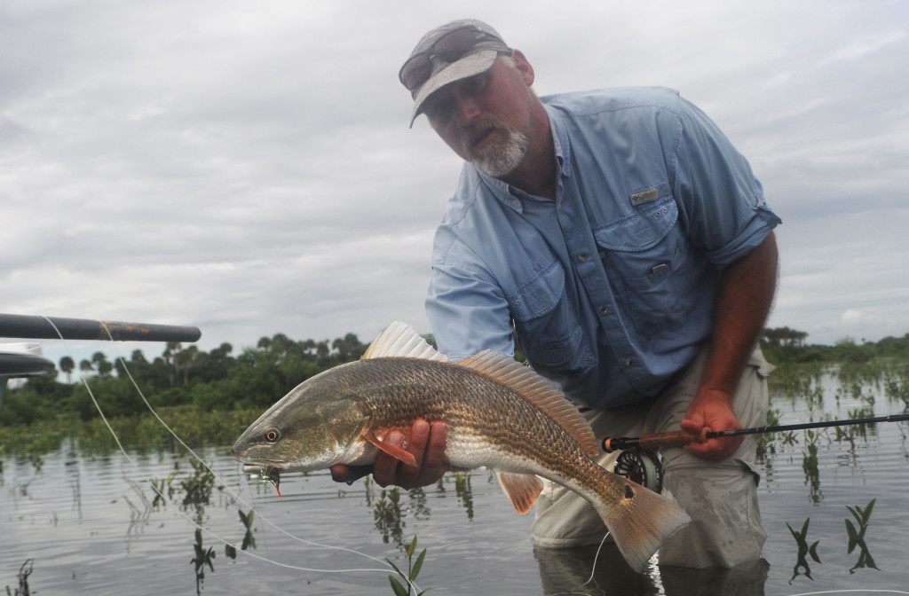 Scott, from PA, with a Mosquito Lagoon Redfish. This fish was tailing, feeding on small crabs.