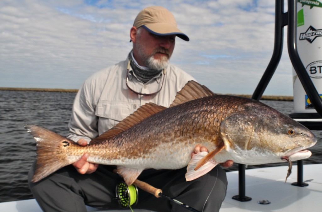 Fly fishing for redfish in the Louisiana Marsh.